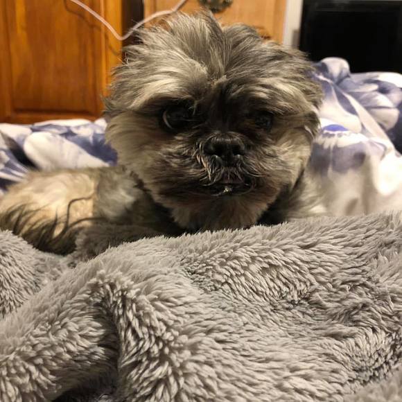 Meet your Posher, Jeannie - Picture 1 of 1